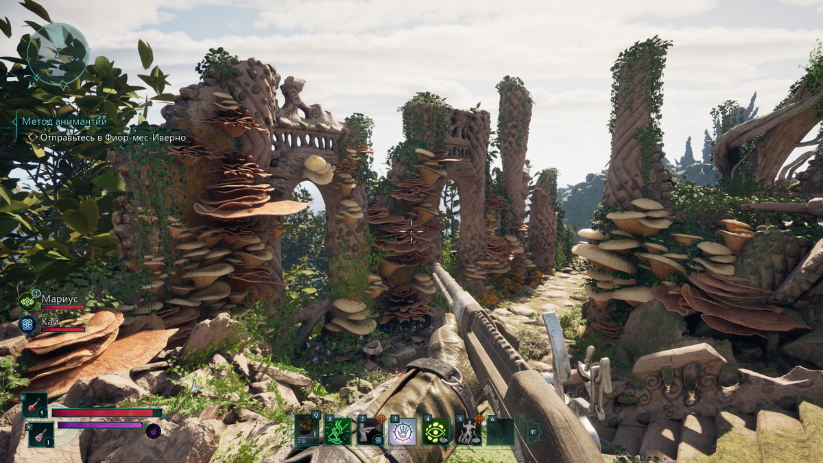 Это все мы, грибы