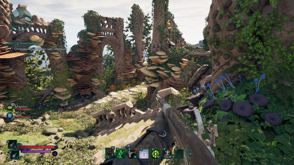 Нас сотни видов, мы можем расти даже верх тормашками, и на скалах как на деревьях