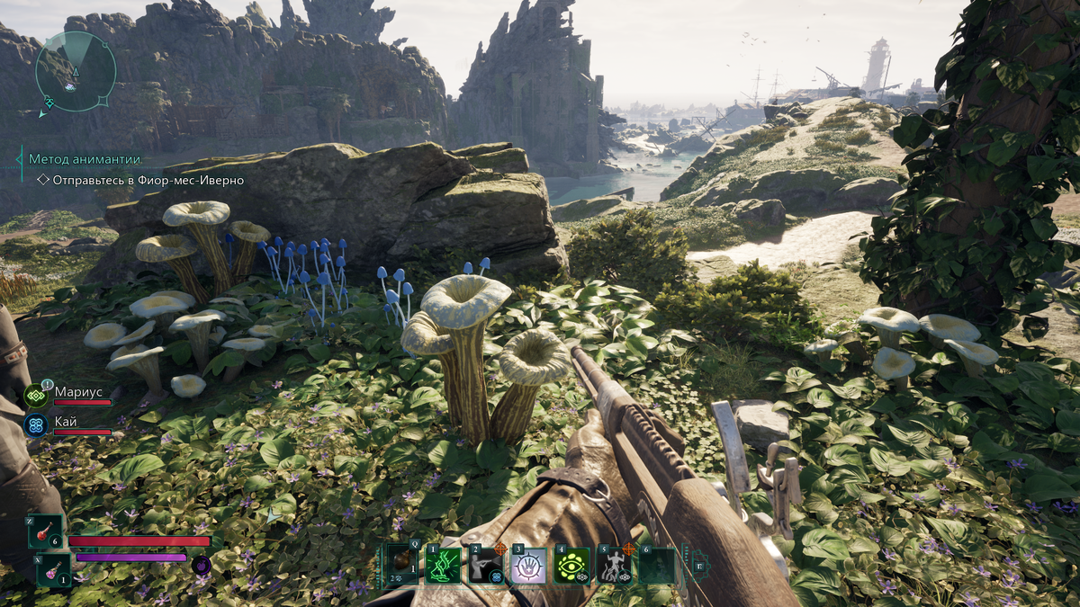 Мы разных видов и друг другу совершенно не мешаем