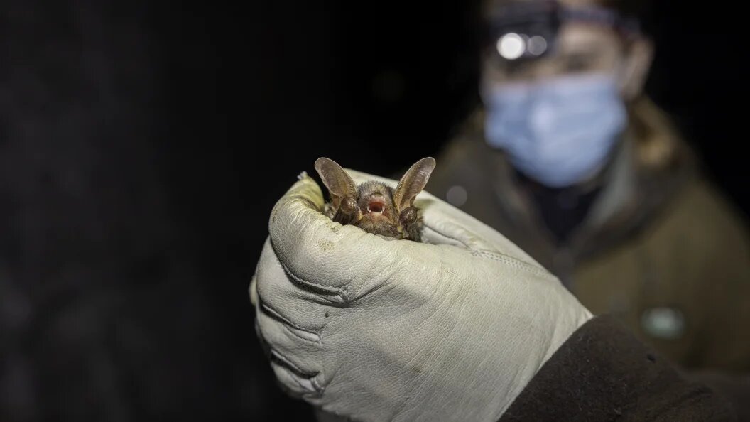    Фото: Daniel Hargreaves/Globallookpress