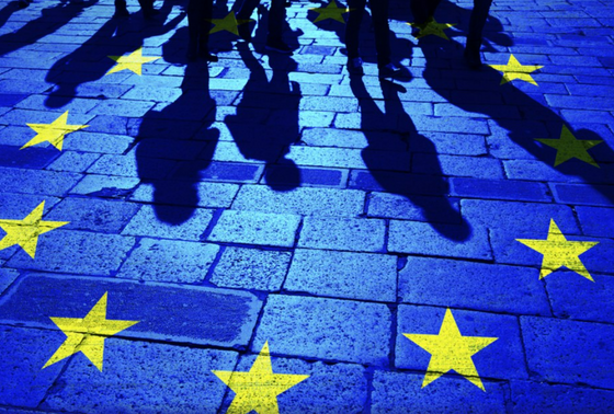    Shutterstock|FOTODOM