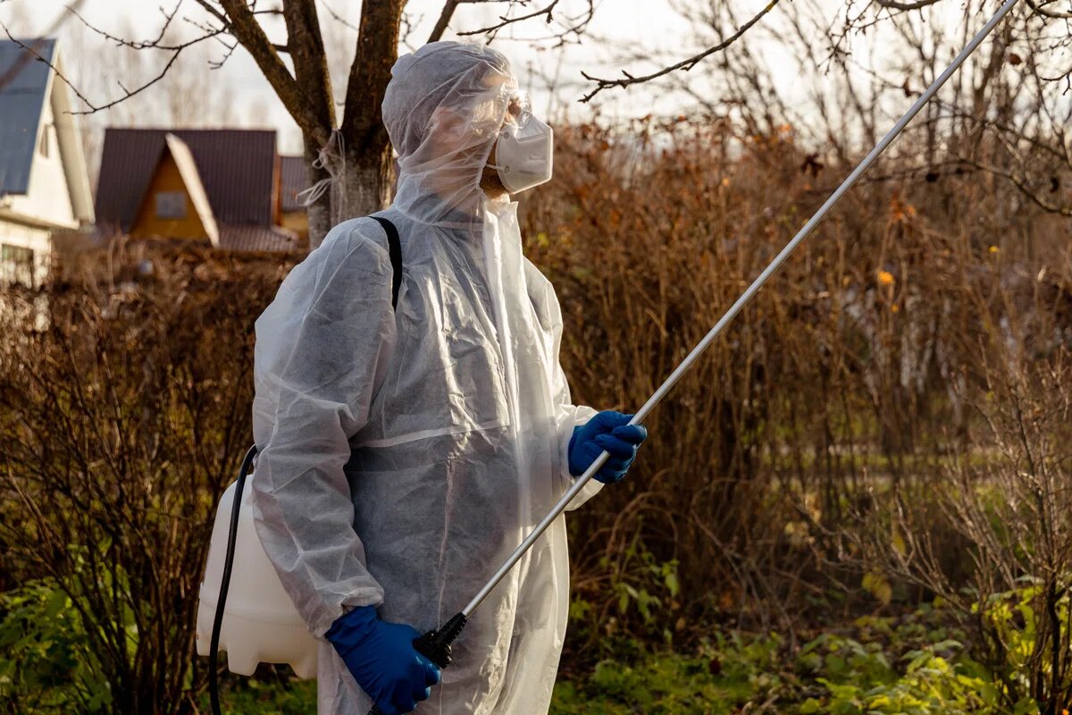    Фото: S.O.E / Shutterstock.com