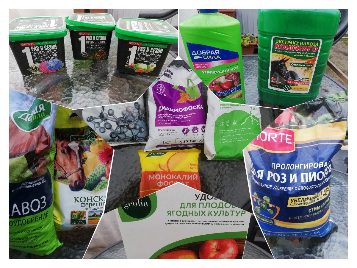 Примерно так, наверное, выглядит мешанина из удобрений в голове обычного садовода)))