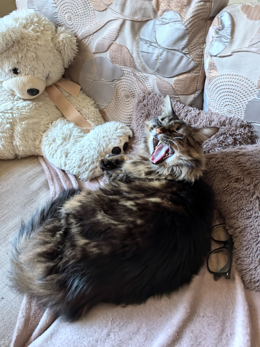 Ааа, уходи со своими фоточками!