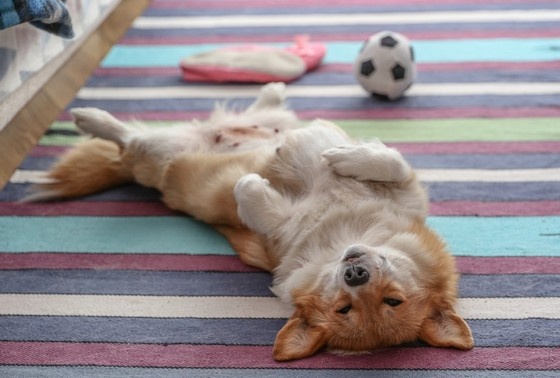    Сергей Булкин/NEWS.ru