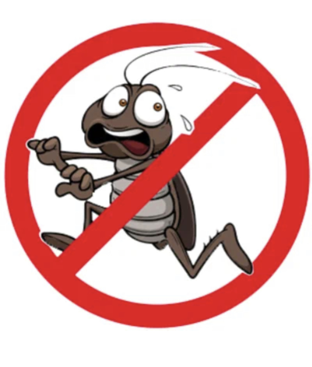 Рисунок с просторов интернета