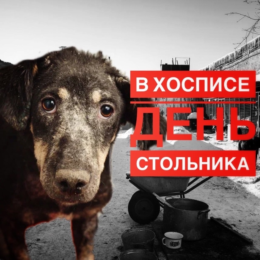  Нужно чуточку любви, тепла и ЕДЫ! День стольника в Омском ЧАСТНОМ хосписе!