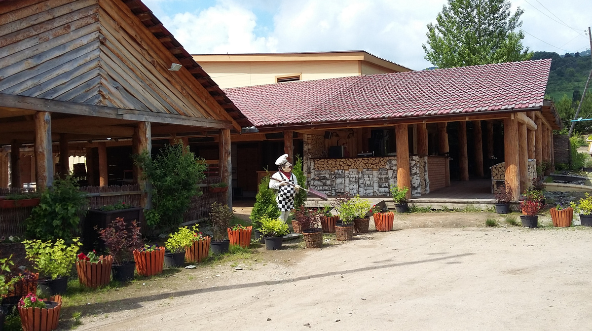 Кафе в алтайском дендрарии