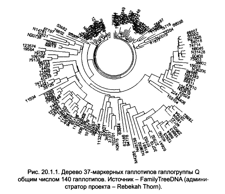 Клёсов А.А., Тюняев А.А. Происхождение человека (по данным археологии, антропологии и ДНК-генеалогии).  стр. 514