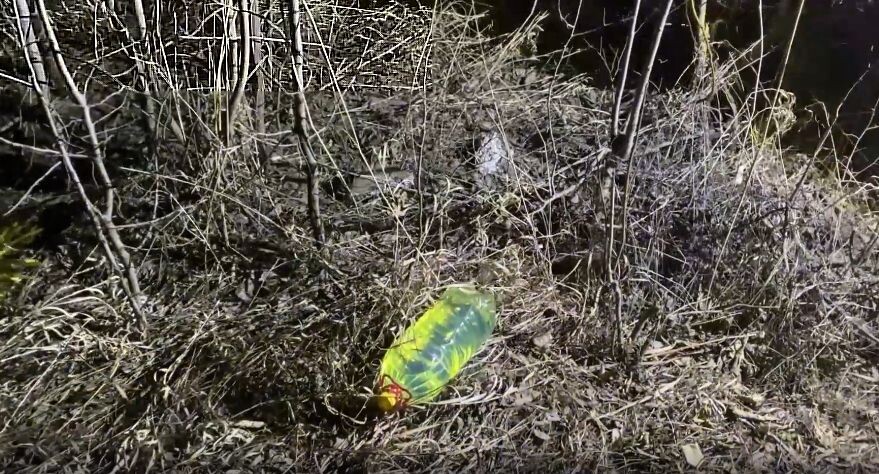    Пресс-служба ЦОС ФСБ