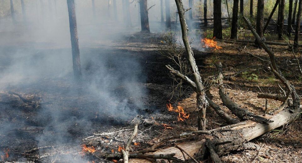    РИА «Новости»