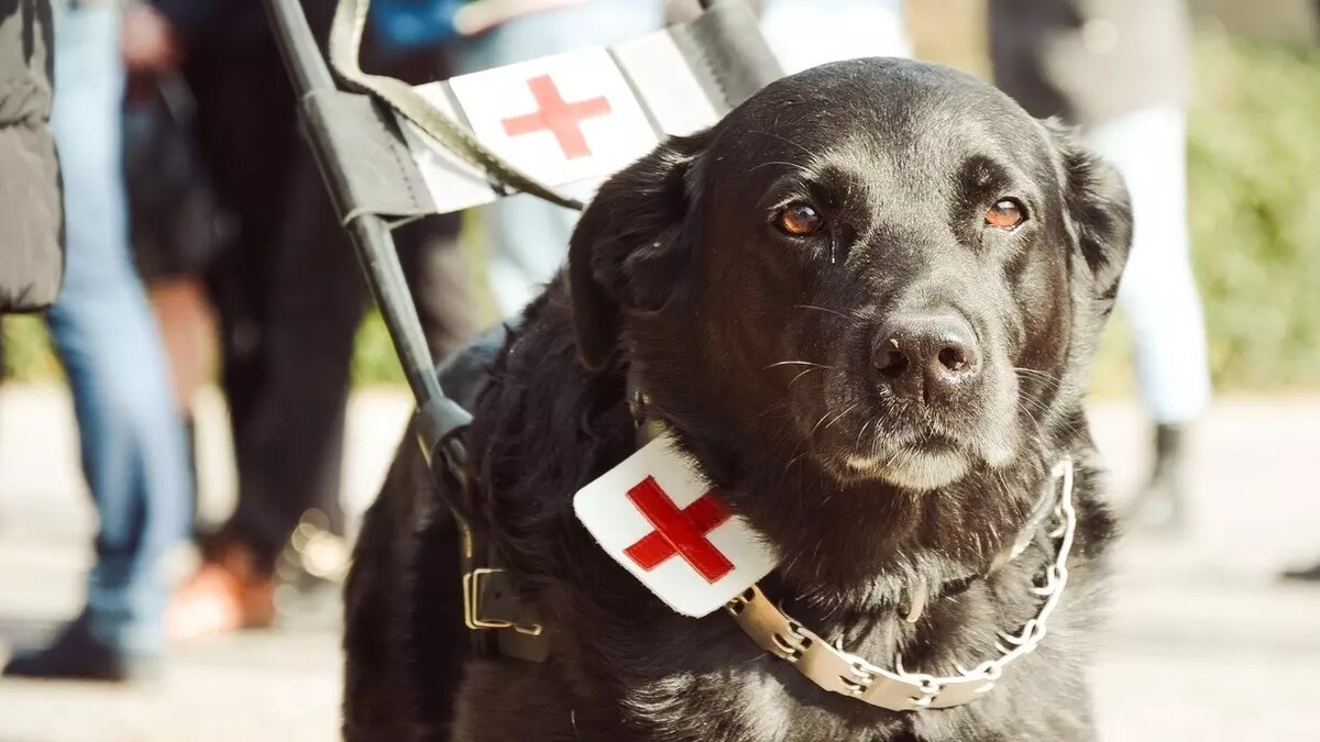     Источник: 1MI