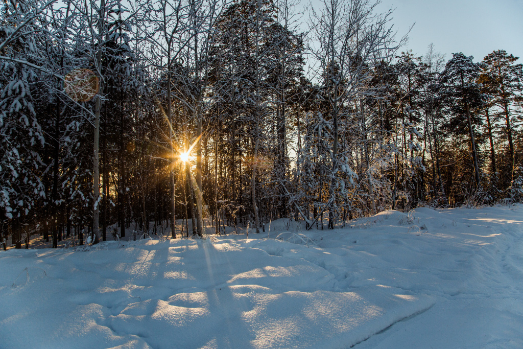    Ученый СурГУ: теплая зима хорошо скажется на экологии Сургута