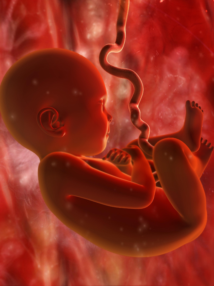 Изображение для оформления статьи