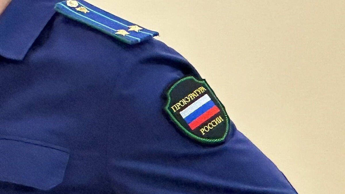    Фото: телеканал «Краснодар»