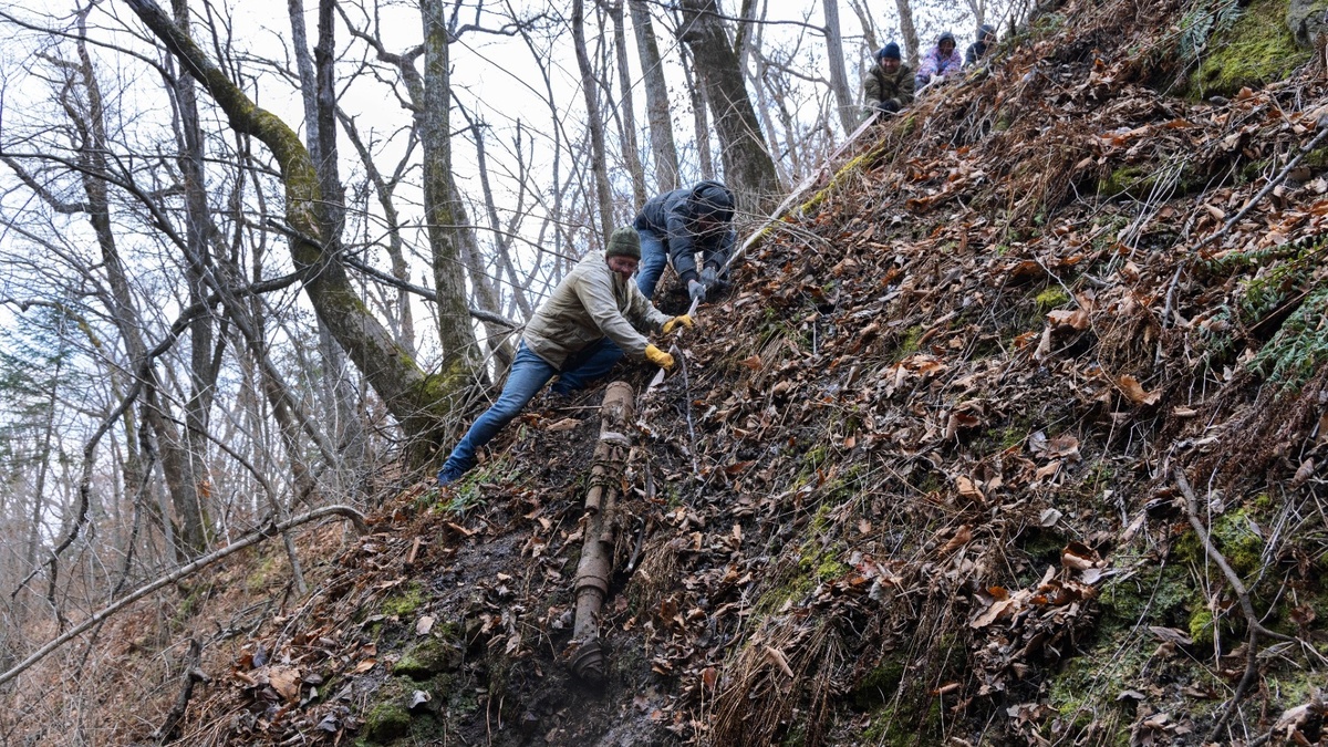     Автор: Слава Иванов Источник: Музей имени Арсеньева