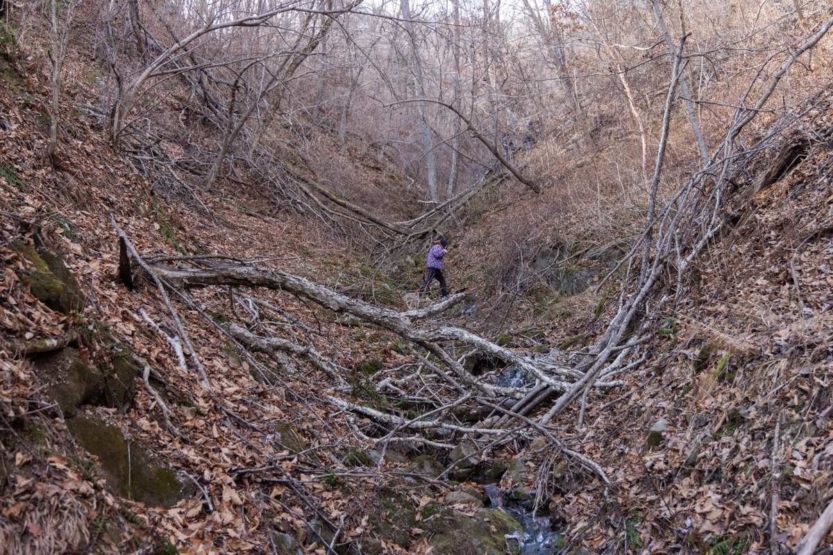     Автор: Слава Иванов Источник: Музей имени Арсеньева