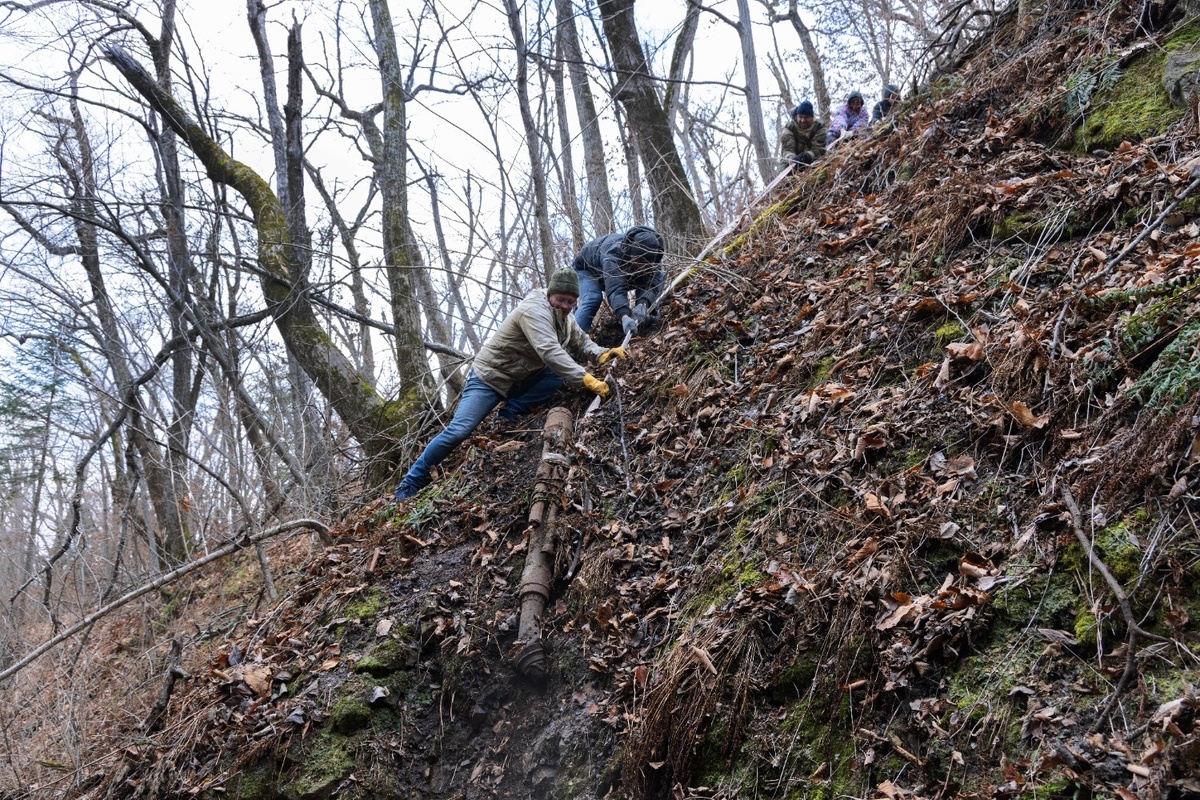     Автор: Слава Иванов Источник: Музей имени Арсеньева