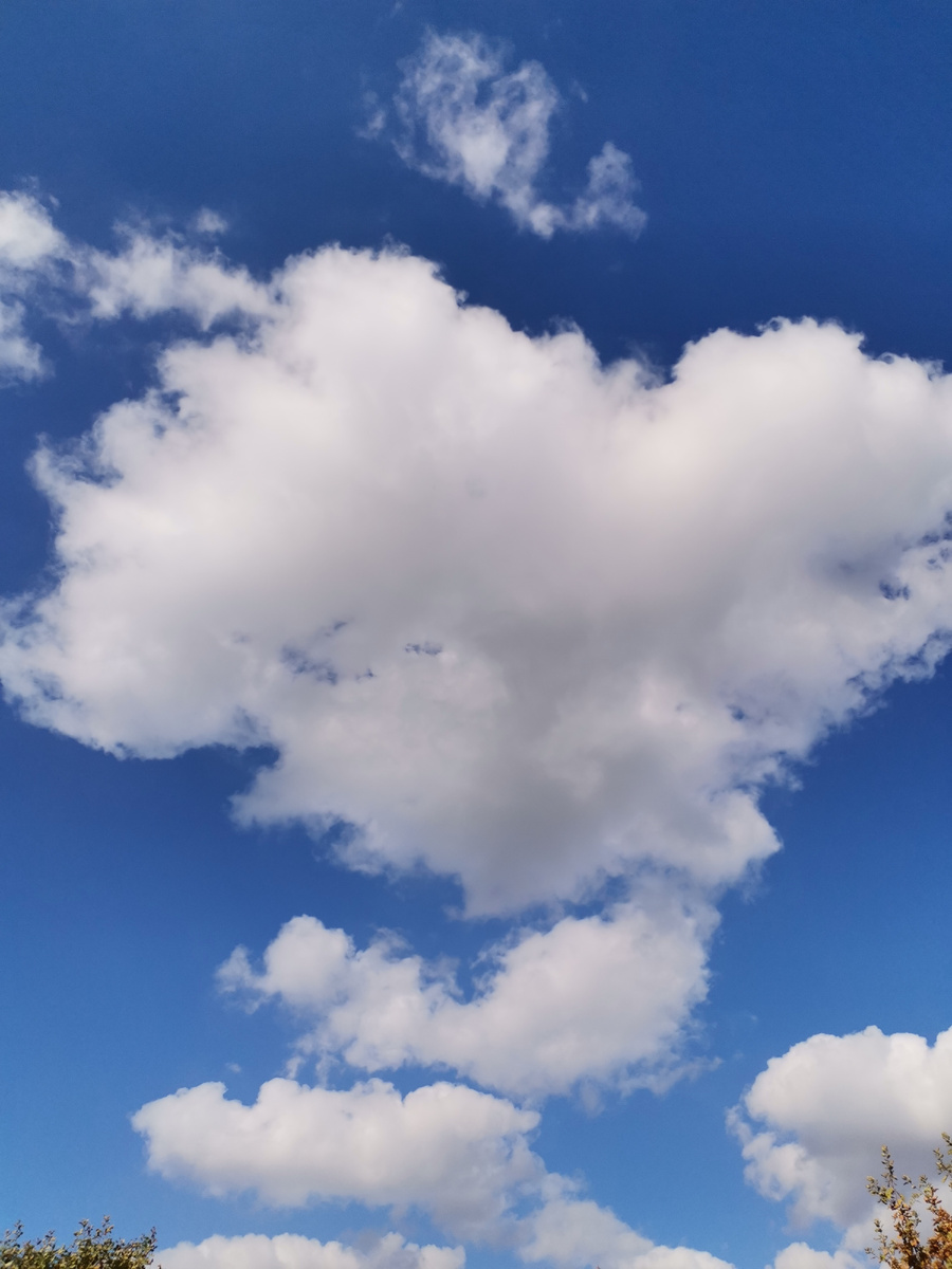 Микробов, вирусов, бактерий и множества других микроорганизмов, находящихся в воздухе, мы не видим, а они всегда там есть! Вопрос только в каком количестве и какие вирусы и микроорганизмы присутствуют в атмосфере в том или ином месте, в то или иное время.