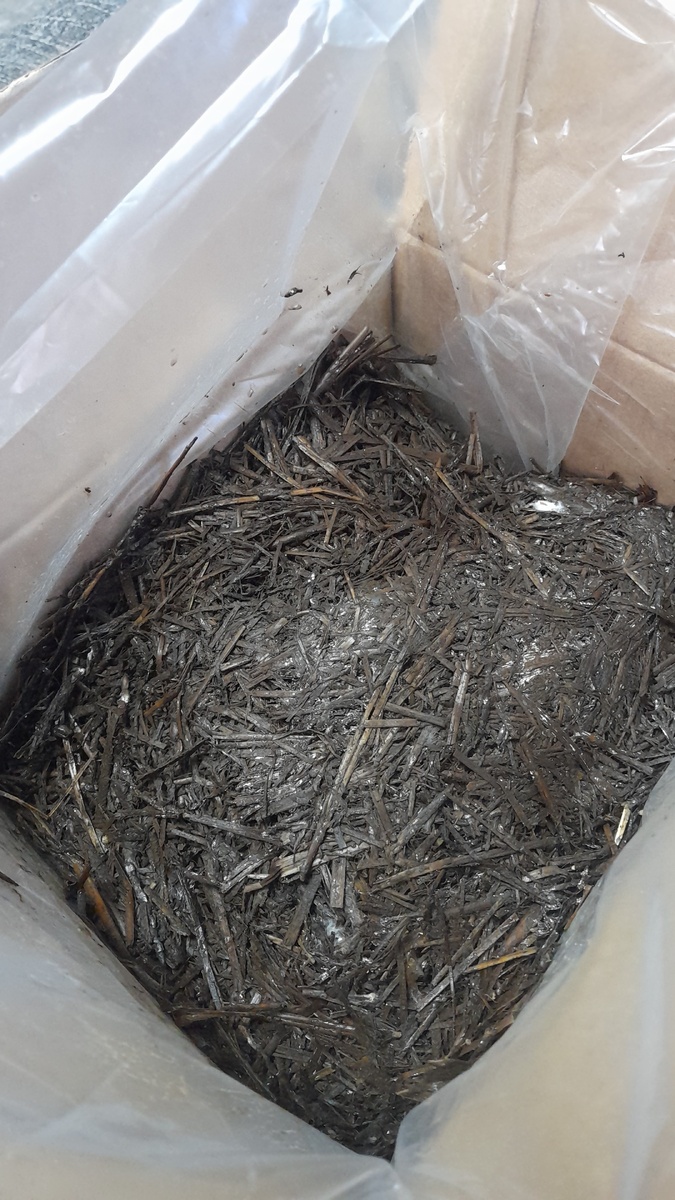 Фото Катерины Шурм