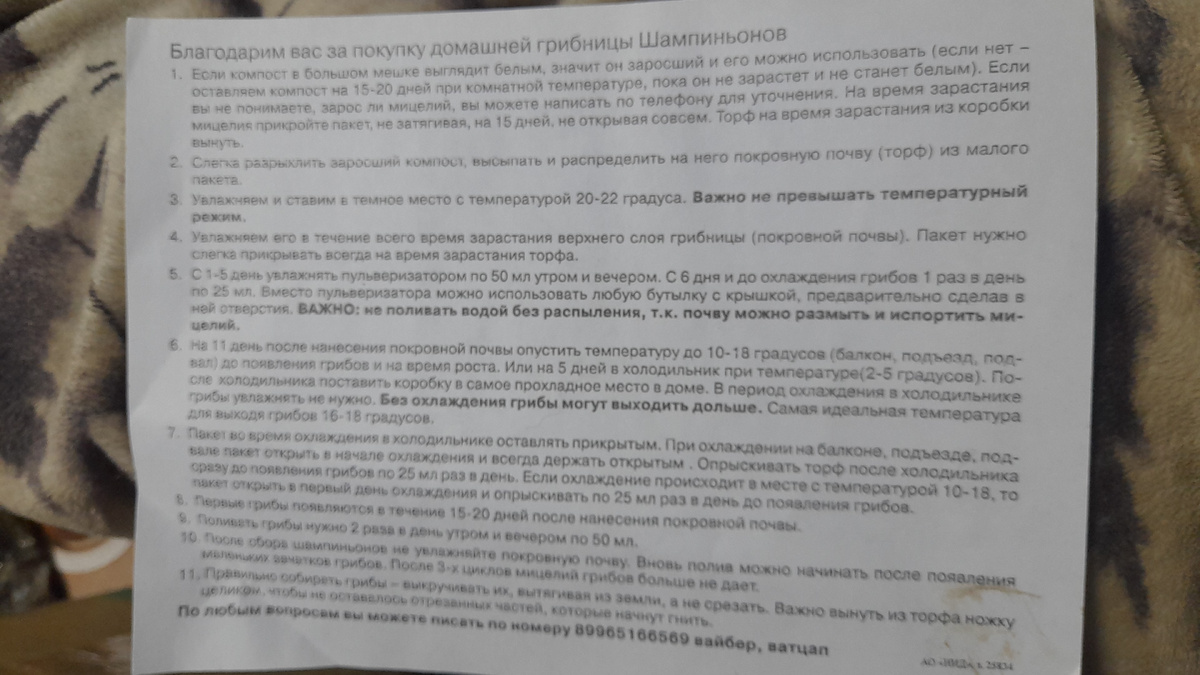 Фото Катерины Шурм