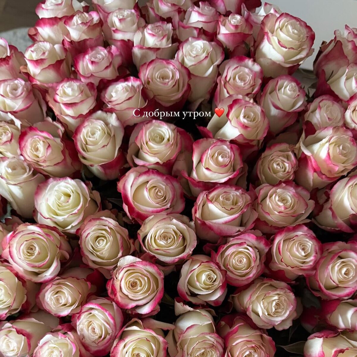     Социальные сети