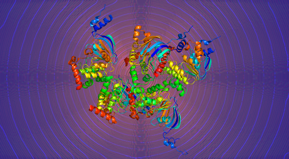   N + 1; Emw / Wikimedia Commons / CC BY-SA 3.0