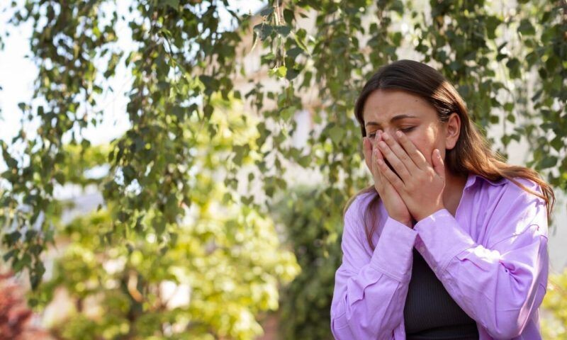    Фото freepik.com