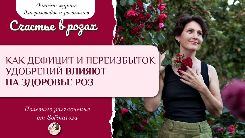 «Счастье в розах», выпуск №14, 21 февраля, 2025г.