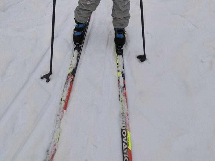     фото: мк в вологде