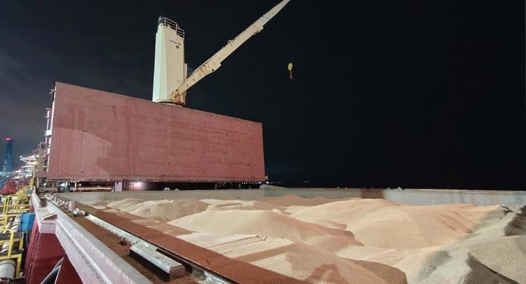    Экспорт российского зерна из портов Ленинградской области увеличился в 14 раз