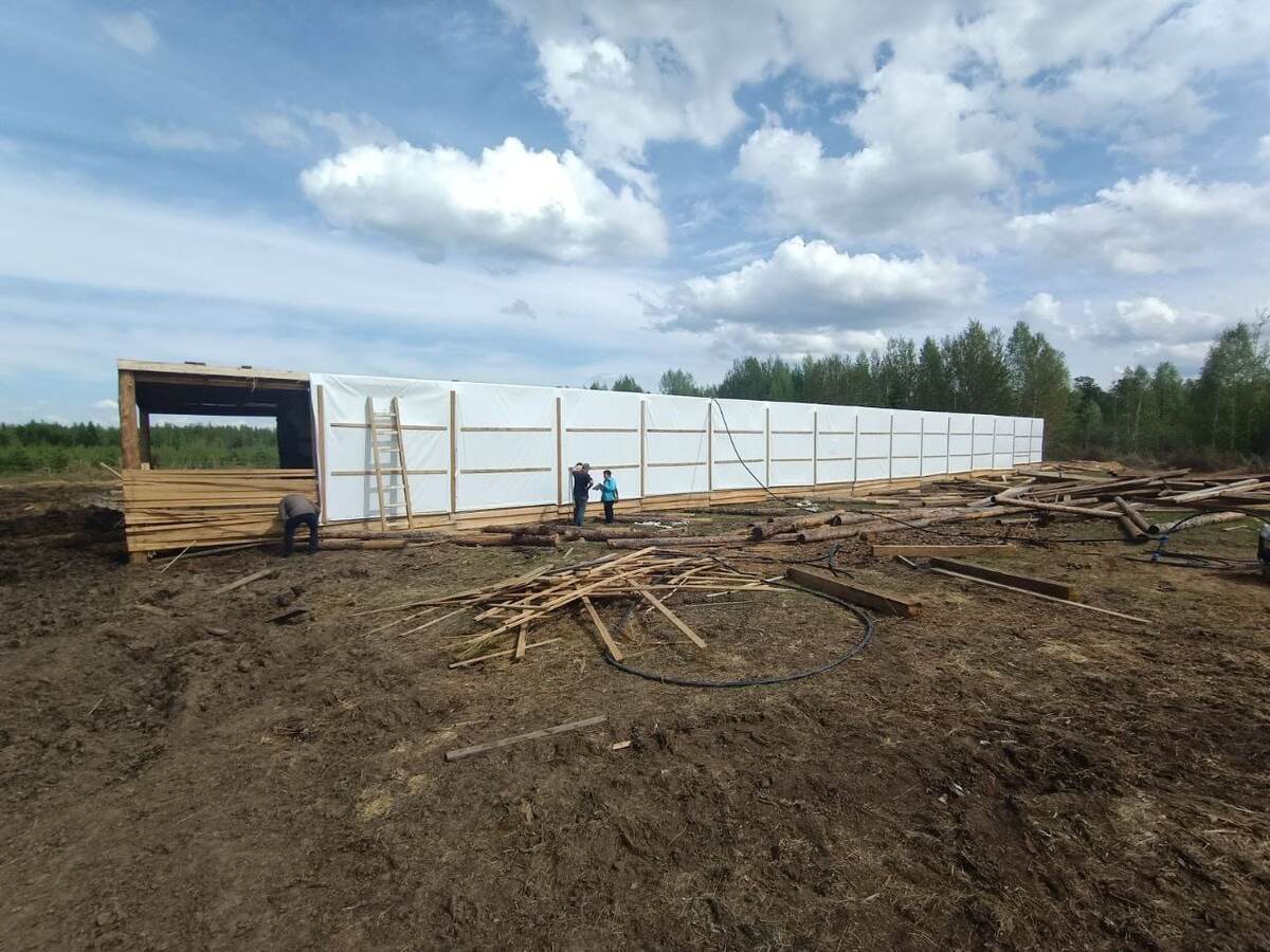     Бизнесмена из Красноярского края подозревают в мошенничестве при получении субсидии