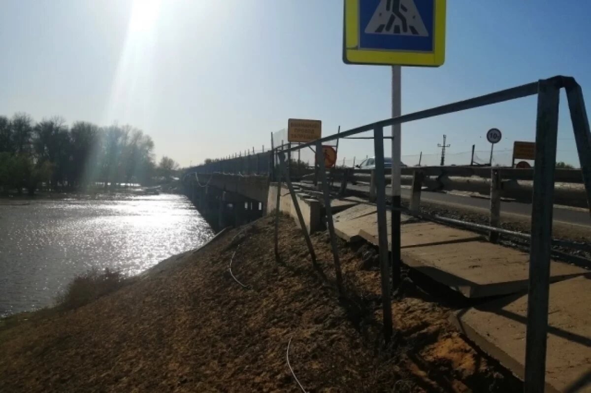    Рыба в ловушке: кто ответит за экологическую катастрофу под Астраханью