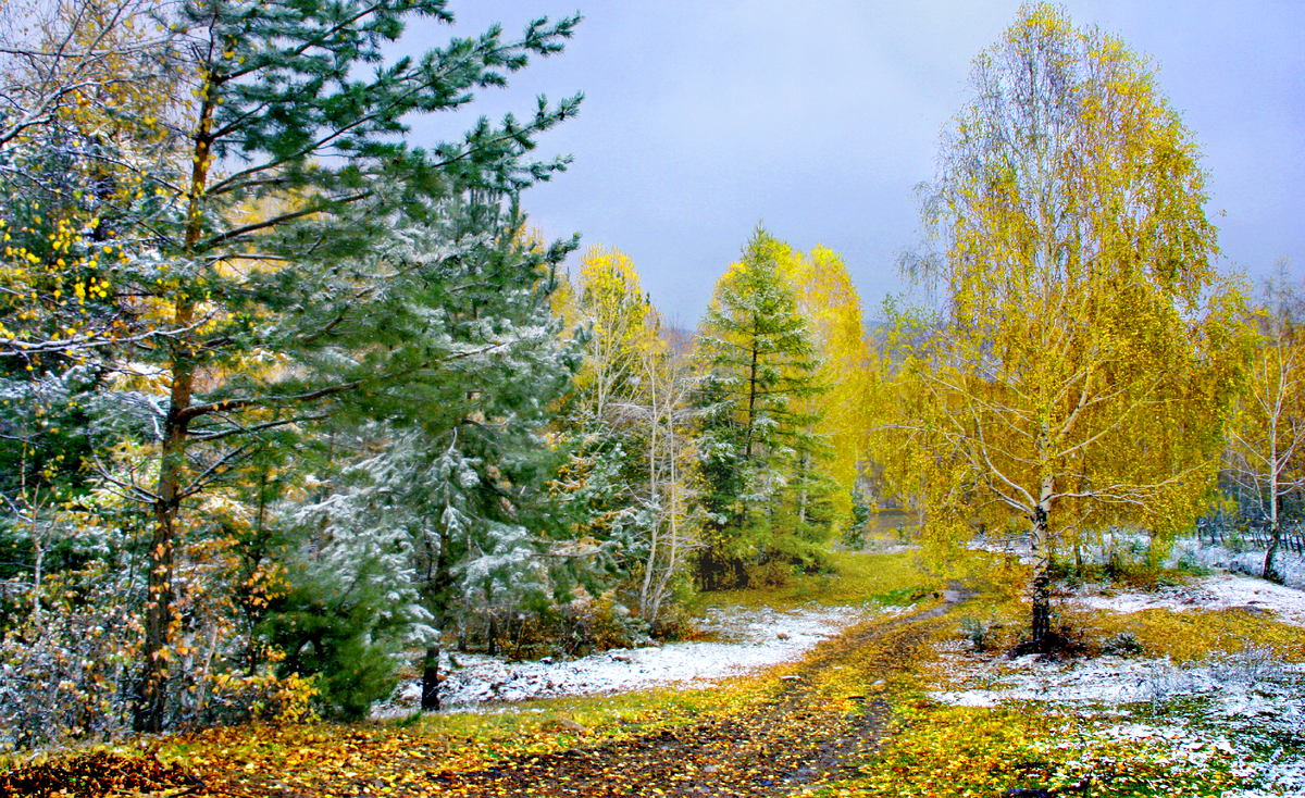 Фотография, стихотворение Василия Глуцкого