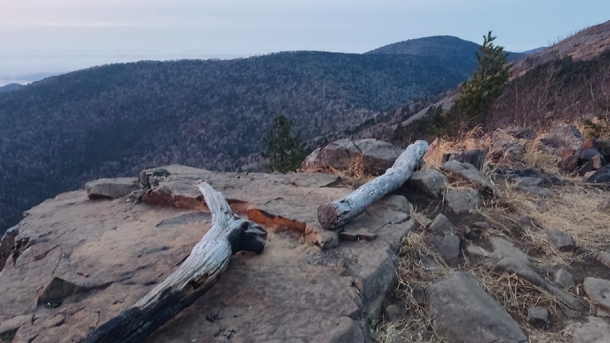     Источник: vostokmedia.com