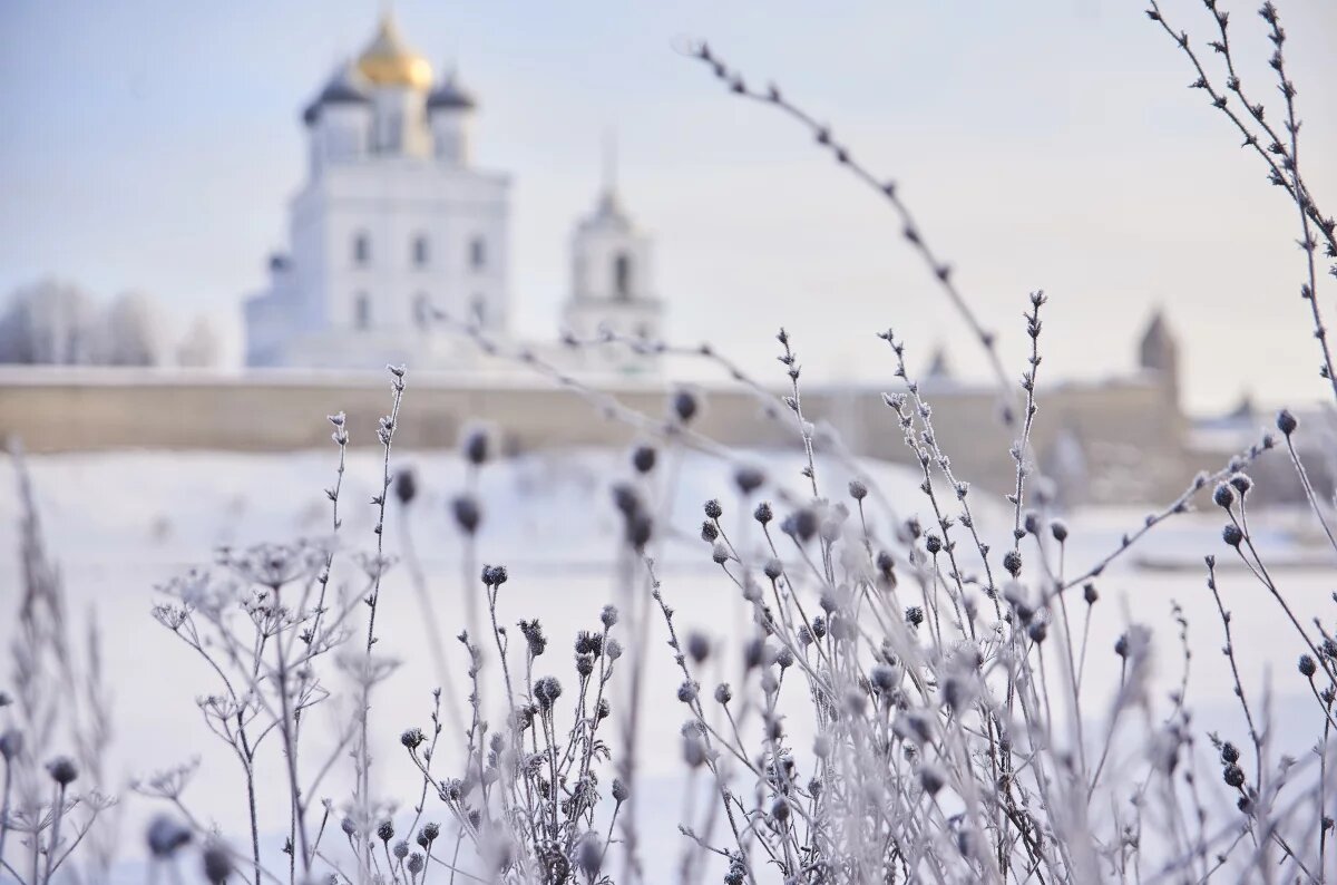    До -6 градусов прогнозируется в Псковской области 21 февраля