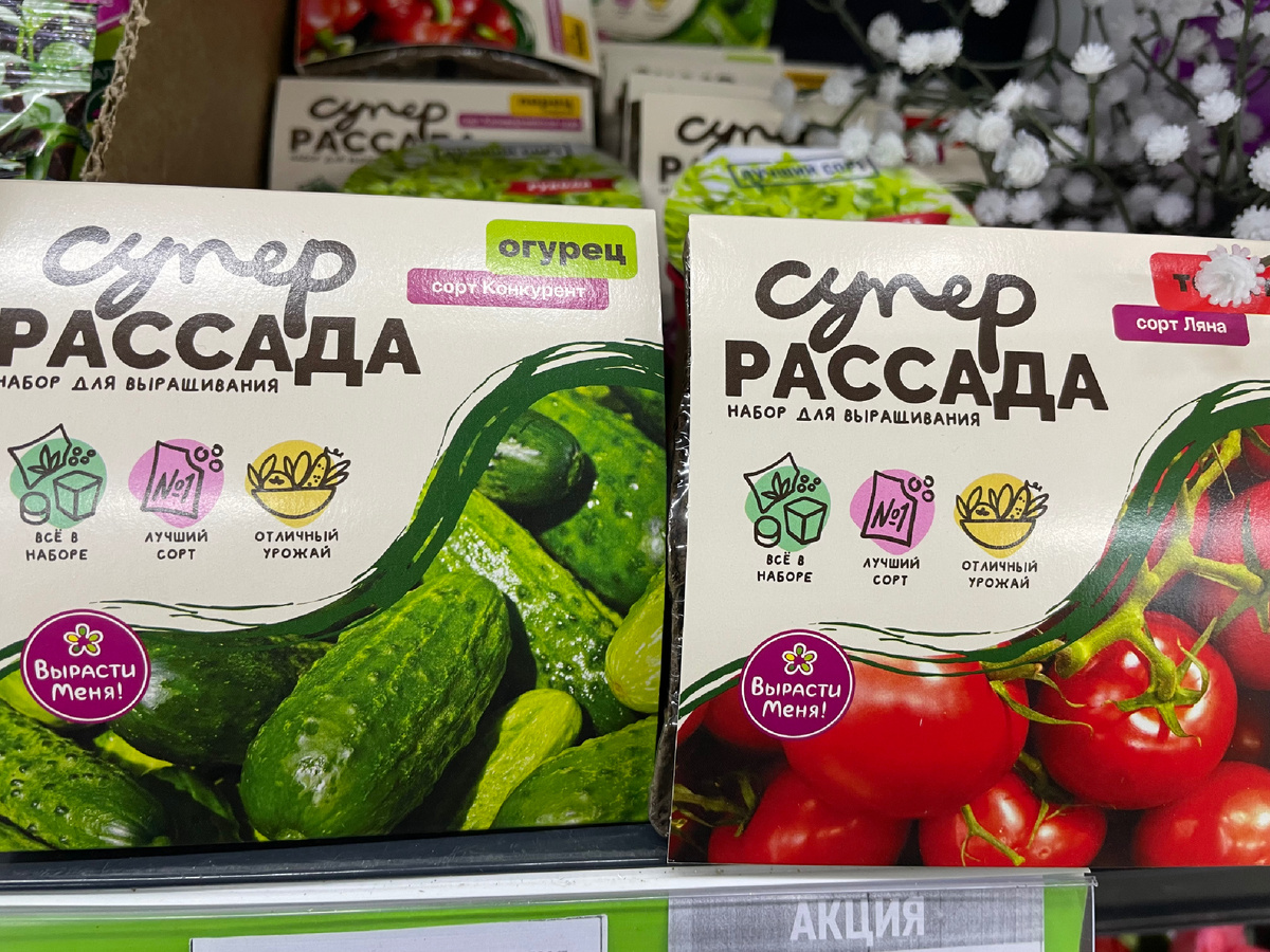 В фикс-прайсе появились наборы, про их качество ничего не могу сказать, и вырастет ли что-то из них, но выглядит красочно и интересно