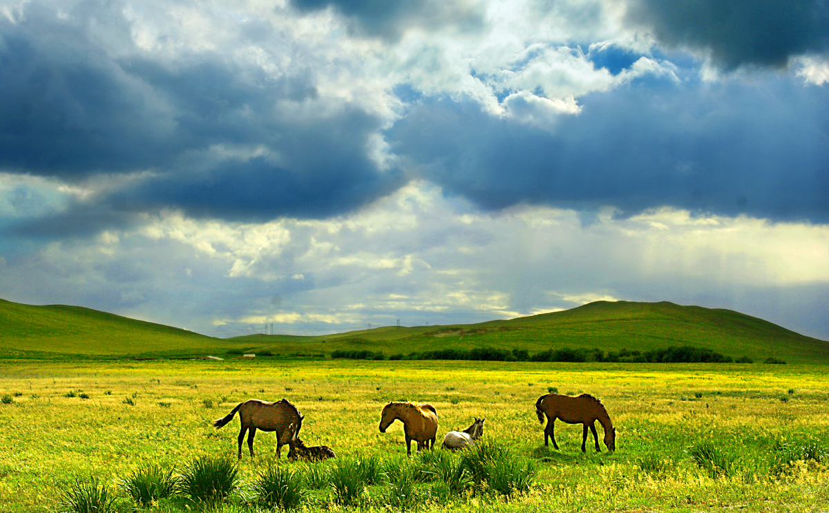 Фотография, стихотворение Василия Глуцкого