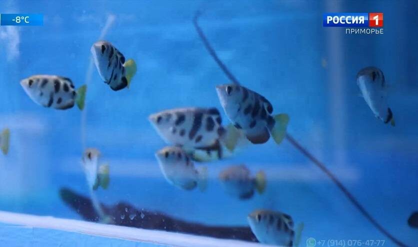    Источник фото: