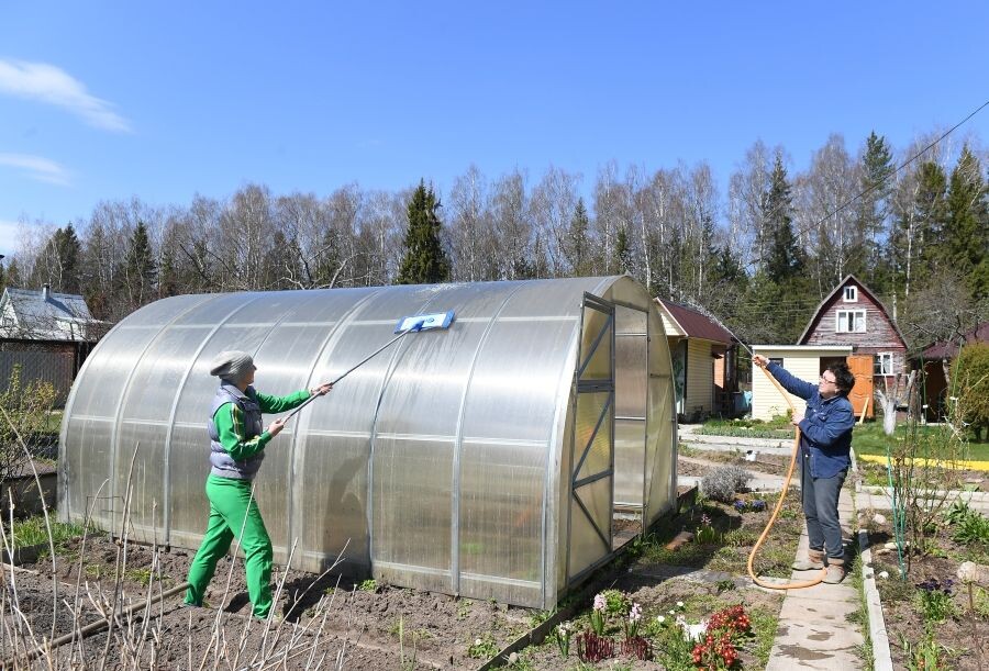     / Источник: ©РИА Новости/ Екатерина Чеснокова