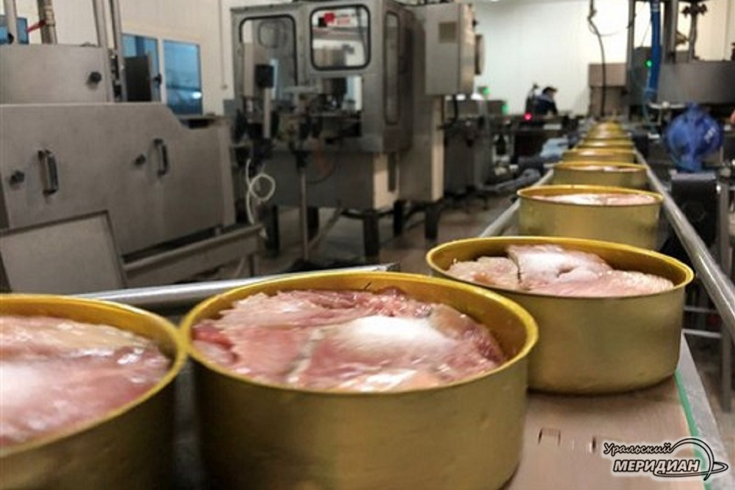    Фото: © ИА «Уральский меридиан»