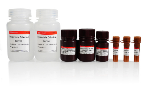 Флуоресцентный набор для двойного окрашивания, TSAPLusНабор для тройного флуоресцентного окрашивания, TSAPLus