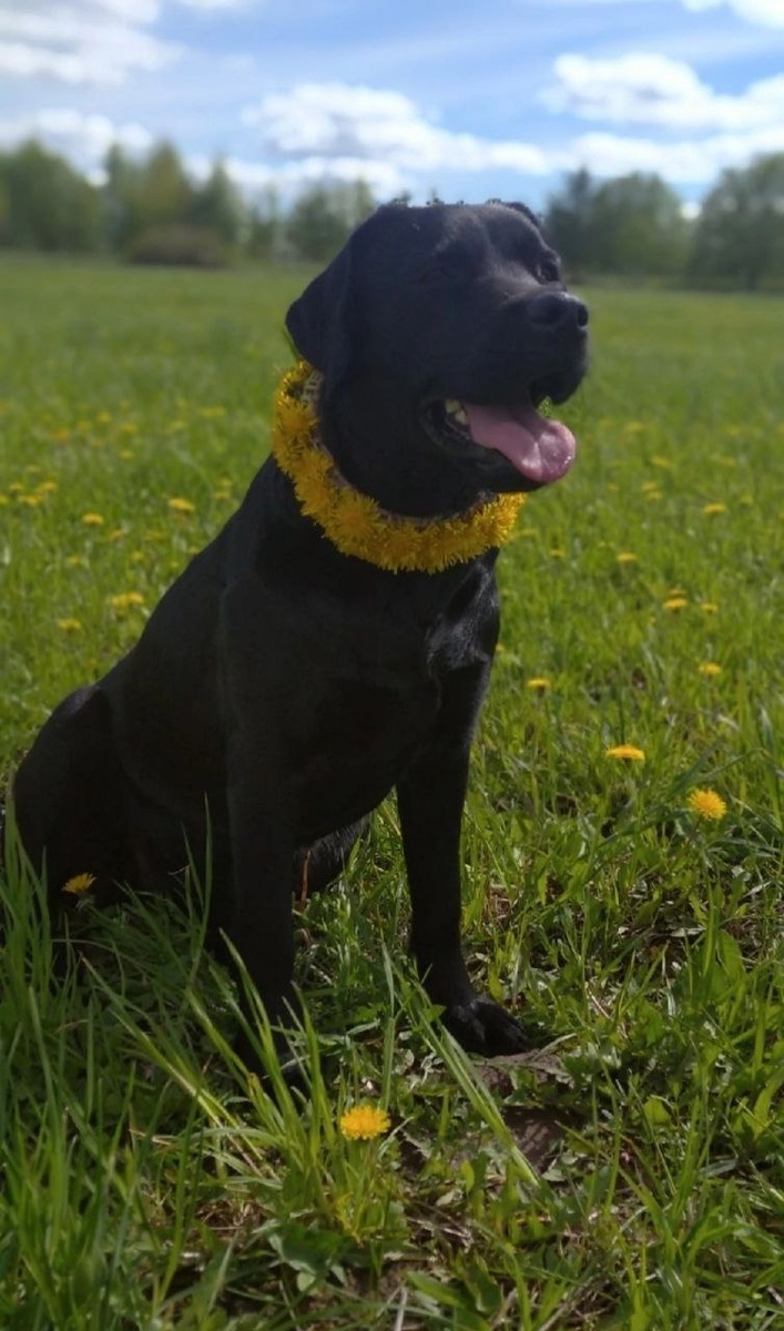 Моя мама🤗 Гамма Эмоций