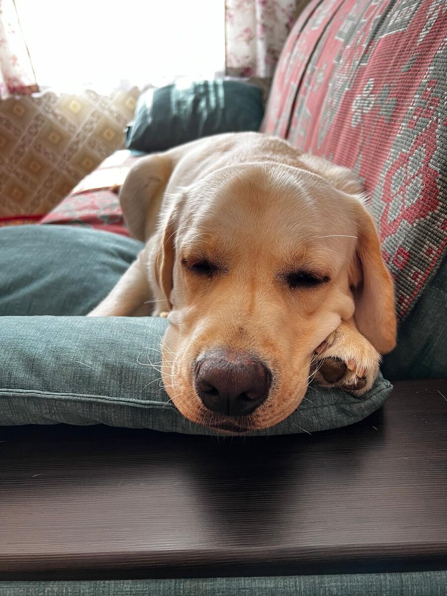 В деревне сладко спим и видим цветные сны.