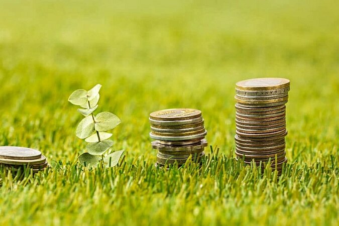 Фото: freepik.com