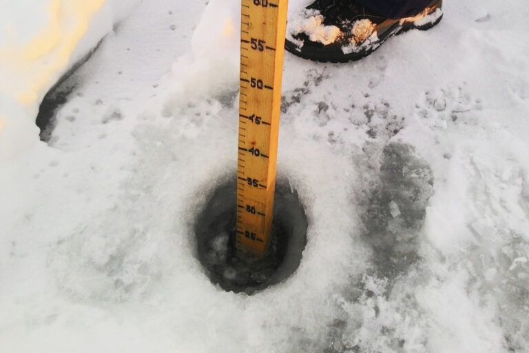    За 10 дней толщина льда на Урале в Оренбурге увеличилась на 5 сантиметров Оренбуржье