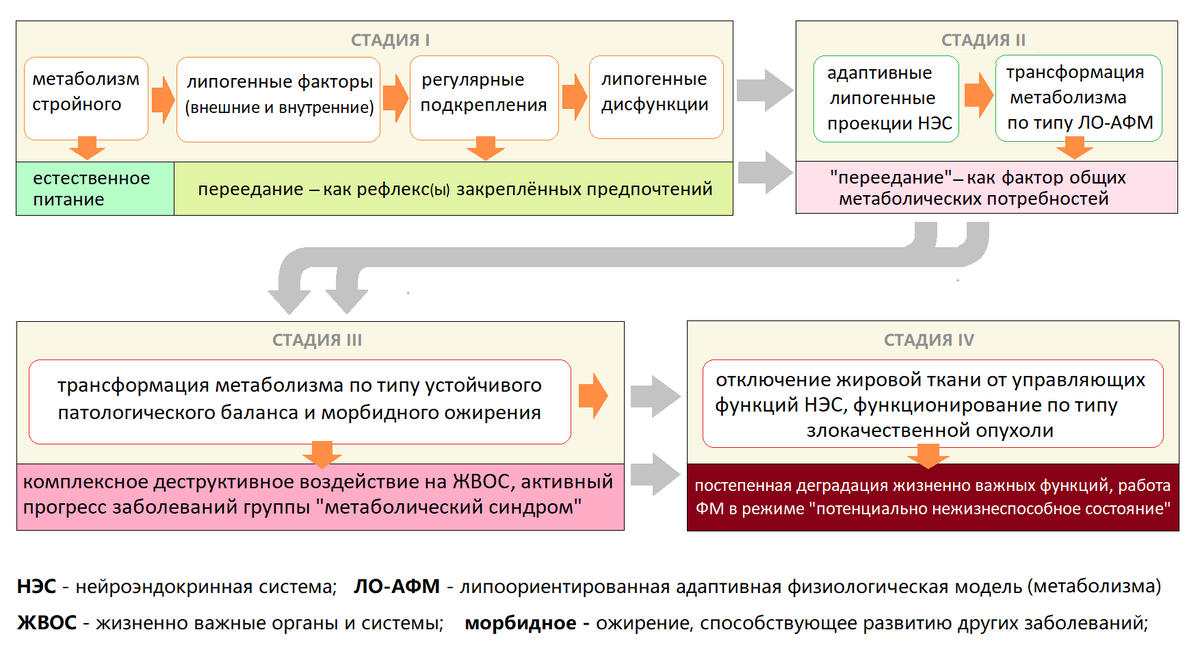Схема 3.  Динамика перехода из одного устойчивого физиологического состояния в другое по мере развития липогенных метаболических дисфункций