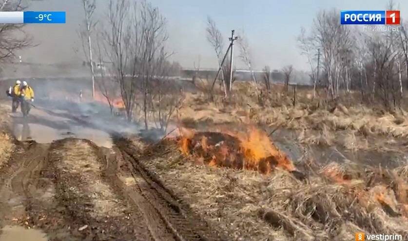    Источник фото: