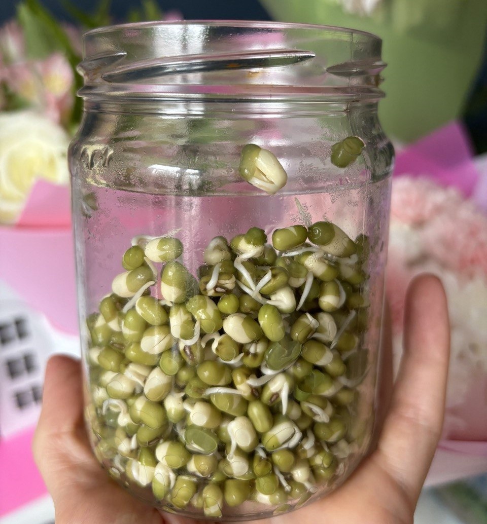 Пророщенный маш