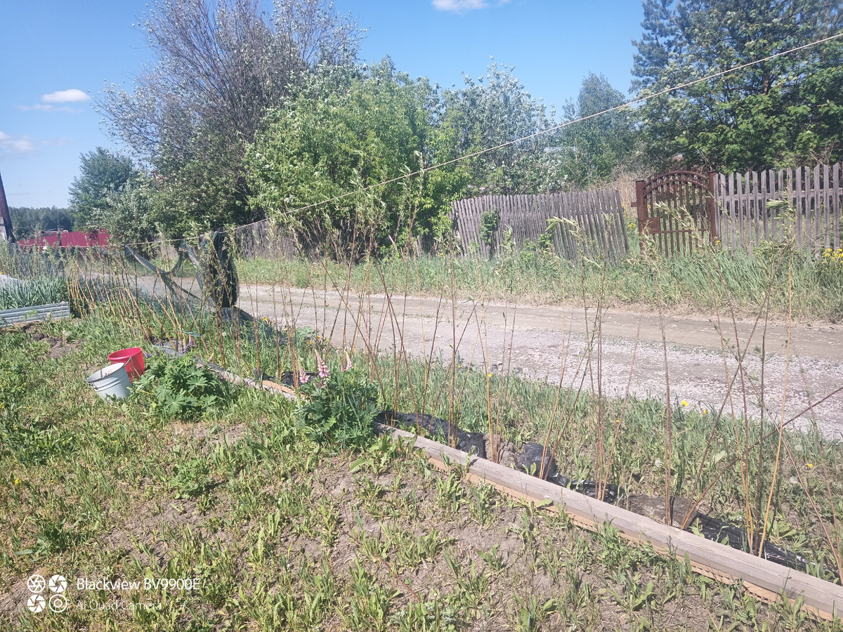 Вот такая землица